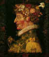 Le printemps Arcimboldo